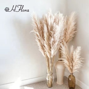 Loral holesale ededding ececorativo owers Ried Flowers Natral blanco Pampas ASS Rass grande ampampas ASS Rass - Product Image 2