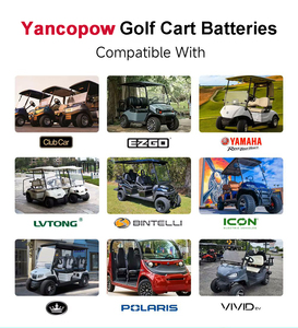 Oem ODM tùy chỉnh chu kỳ sâu chất lượng cao 51.2V 73.6V 105ah 210ah Pin Lithium cho xe Golf - Product Image 6