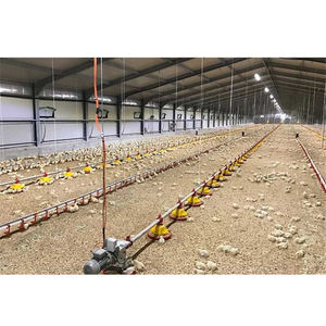 Spray de poulet automatique 2020, environnemental contrôlée par climatisation, entièrement conçu pour l'éclosion et les semences - Product Image 2