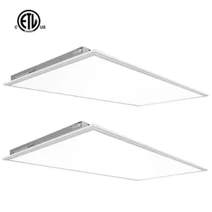 40W 50W 60W High Lumen 2x2 2x4 ft Square Slim Frame Flat Backlit 600x600 Oled Indoor Light 60x60 Led Ceiling Panel Light