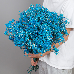 Decoración <span class=keywords><strong>flor</strong></span> seca conservada flores gypsophila <span class=keywords><strong>paniculata</strong></span> aliento <span class=keywords><strong>de</strong></span> bebé para diseño <span class=keywords><strong>de</strong></span> boda 120g - Product Image 2