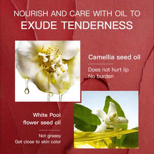 OEM/ODMカスタムブランドロゴ高品質軽量マットベルベット長続きする口紅メーカー広州 - Product Image 6