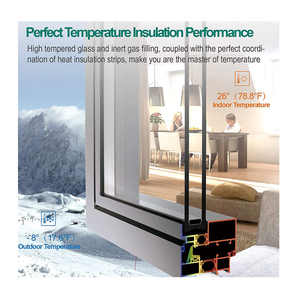 Nhà máy tùy chỉnh cửa sổ kính hai lớp cho biệt thự dân cư Mỹ aluminiumscreen cho nhà ở - Product Image 5