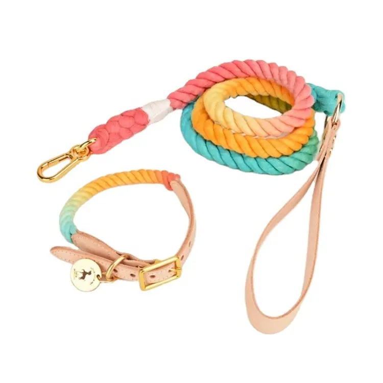 I produttori hanno personalizzato tutto in uno set di collare e guinzaglio per cani in pelle intrecciata a mano in corda di nylon multicolore resistente alle mani