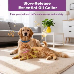 Collar Calmante para Gatos a Prueba de Agua con Feromonas, Directo de Fábrica, Collar Seguro y Efectivo para Aliviar la Ansiedad para Gatos de Todos los Tamaños - Product Image 2