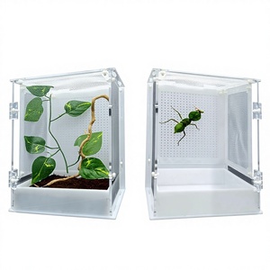 Cage d'élevage rectangulaire à double porte à attraction magnétique pour insectes vivants, reptiles, insectes chanteurs et insectes sauteurs, petite et grande taille - Product Image 1
