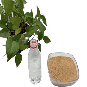 Vente en gros d'usine : Extrait de saponine de graines de <span class=keywords><strong>camélia</strong></span> à 80 %, poudre extraite par solvant, libération rapide, saponine de thé biologique pour l'aquaculture - Product Image 5