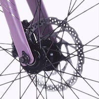 Vélo de route 24 vitesses pour adulte, avec tube de selle épaissi, frein à disque mécanique, idéal pour l'extérieur