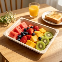 Plateau en bagasse de canne à sucre jetable, compostable, compatible micro-ondes, pour la restauration aérienne, les plats à emporter, la livraison de repas, vaisselle jetable écologique