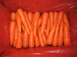 Mới tươi Cà rốt đỏ xuất khẩu từ Trung Quốc nông nghiệp Rau thực phẩm bán buôn xuất khẩu tươi Cà rốt hạt giống - Product Image 4