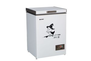 Congélateur coffre mini BD-100 à ouverture par le haut, certifié CE, idéal pour les usines, prix abordable - Product Image 4