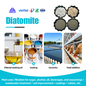Gránulos de Diatomita Natural para Horticultura, Aditivo Transpirable para Suelo, para Orquídeas, Suculentas y Cultivos en Invernadero - Product Image 2
