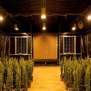 โรงเรือนเพาะเห็ดแบบหลังคาเดียวขนาดใหญ่  โครงเหล็กชุบสังกะสี  หุ้มด้วยแผ่นพลาสติก PE - Product Image 3