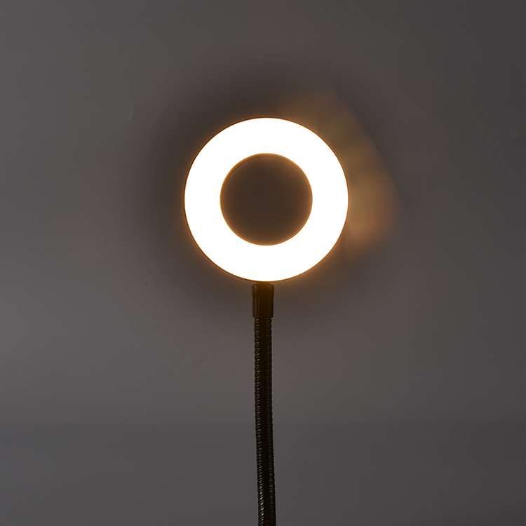 Mobile Selfie Professional Clip on Ring Led Light Lighting Led Ring Light Rgb with Stand