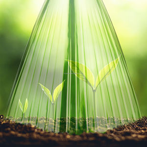 Lot de 10 protecteurs de plantes réutilisables en PVC transparent vert en forme de dôme anti-gel pour escargots et oiseaux 20x20x24cm-HUGELEAF - Product Image 6