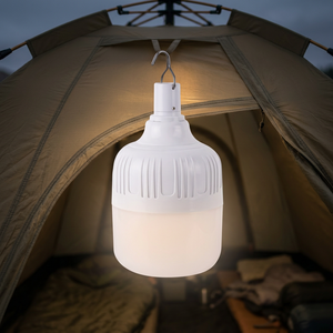 LED USB Rechargeable T <b>Bulb</b> DC5V-6V 60W Diameter 80mm Three Dimmable <b>White</b> Housing PP Material 1200mAh Battery SMD2835 Chips - Product Image 1