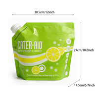 Pochettes souples personnalisées à grande capacité avec bec verseur, imprimées en héliogravure, pour liquides, bière, jus de fruits, thé, emballage antistatique de qualité alimentaire 1L 2L 5L