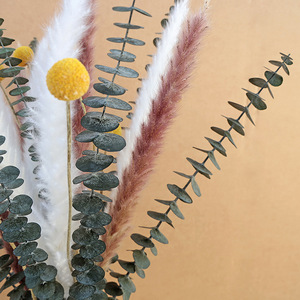 Hierba de Pampas Seca Natural, Ramo Mixto con Eucalipto y Craspedia Preservados, para Decoración Boho del Hogar, Arreglos Florales DIY - Product Image 1