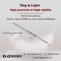 Rel Linier Mikro Berkualitas Tinggi Merek PYG Material S55C Model 12mm 200mm 300mm 400mm 500mm Rel Pemandu Gerak Presisi Tinggi untuk