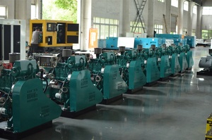 Certificat CCS Moteur marin WP4.1CD66E200 Générateur marin authentique 40KW/50KW - Product Image 2
