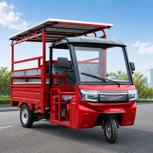 Nouveau design de tricycle de transport électrique motorisé à carrosserie ouverte avec toit solaire - Product Image 2
