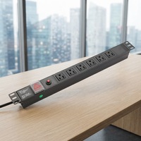 PDU de type USA 19 pouces pour montage en rack de serveur, protection contre les surtensions avec 10 prises 15A 110-120V, en alliage d'aluminium durable