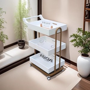 Hot Sale Beauty Bar Multi-functional ABS Beauty Rack Spa White Gray Beauty Equipment Trolley - Product Image 6
