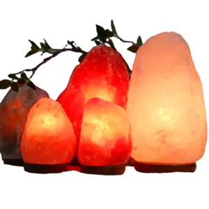 All'ingrosso lampada di sale himalayano di cristallo rosa naturale sale Rock originale qualità certificata lampada di sale