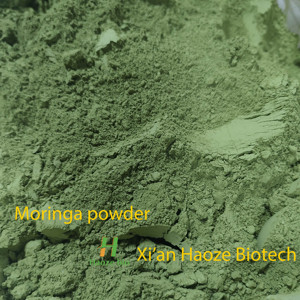 Haoze bán buôn <span class=keywords><strong>Moringa</strong></span> lá bột hữu cơ 100% tinh khiết <span class=keywords><strong>Moringa</strong></span> bột - Product Image 2
