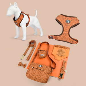 Harnais, laisse et collier <span class=keywords><strong>pour</strong></span> <span class=keywords><strong>chien</strong></span> avec logo personnalisé - Accessoires <span class=keywords><strong>pour</strong></span> animaux de compagnie - <span class=keywords><strong>Liste</strong></span> blanche BSCI - Nylon réfléchissant - Personnalisation OEM et ODM disponible - Product Image 2
