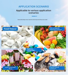 Tiaoqiao 3 Tấn Đi Bộ Trong Nhanh Chóng Tủ Đông Dễ Dàng-to-Hoạt Động 100Mm Năng Lượng Mặt Trời Bảng Điều Khiển Bitzer Copeland Tự Động Thiết Yếu Lạnh Phòng Lưu Trữ - Product Image 3