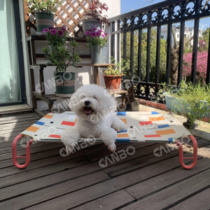 Canbopet hình chữ U nâng cao ngoài trời <span class=keywords><strong>Pet</strong></span> Dog giường cắm trại lớn lên floding giường con chó khung kim loại <span class=keywords><strong>Pet</strong></span> cot sang trọng giường con chó - Product Image 5