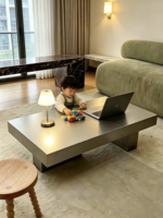 Table basse en acier inoxydable, design minimaliste rectangulaire, finition mate brossée de qualité supérieure, personnalisable, design de créateur