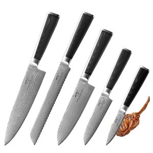 Ensemble de 5 couteaux de chef professionnels en acier Damas à haute teneur en carbone avec manche en résine et étui en cuir, couteaux Viking ambidextres - Product Image 4