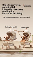 Poussette bébé pliable et légère avec cadre métallique robuste, siège inclinable bidirectionnel, possibilité de s'asseoir/décrocher, design compact et pliable.