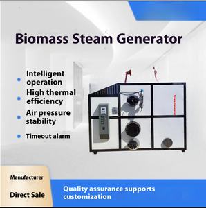 Générateur de vapeur de granulés de biomasse entièrement automatique pour la transformation des aliments désinfectant la vaisselle repassage des vêtements - Product Image 5