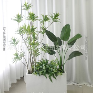 Combinaison de plantes artificielles Greenway, 160 cm de haut, décoration intérieure, verdure tropicale, séparateur, jardinière - Product Image 1