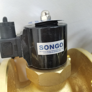 SONGO Solenoide de Brida de Latón de 16 bar IP68 de Alta Presión, de 2 Vías, 24 VCC, Normalmente Cerrado para - Product Image 4