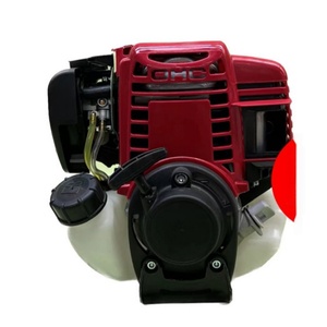 Bomba Pulverizadora de Pesticidas con Motor de Gasolina de 25L para Agricultura, Pulverizador y Máquina Pulverizadora, Pulverizadores Agrícolas - Product Image 5