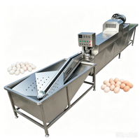 Ligne de production industrielle automatique pour le lavage, le nettoyage, le tri, l'inspection, le codage et la calibrage par poids des œufs frais