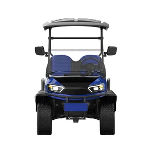 New Electric Buggy Legal Street Buggy Car 4x4 Golf Cart Electric