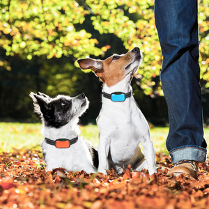 Collar antiladridos para mascotas con sonido, vibración, descarga eléctrica, recargable, supresor de ladridos para perros, azul, naranja, rosa, negro - Product Image 3