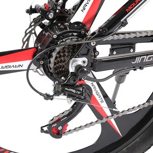 Bicicleta Eléctrica de 48V 15AH en Oferta, Motocicleta con Neumáticos Anchos - Product Image 6