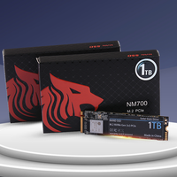 Hybour Nouveau SSD interne M.2 NVMe PCIe SATA 3.0 avec boîtier plastique 128 Go-2 To SLC NAND Lecture 501-600 Mo/s Écriture 401-500 Mo/s pour ordinateur de bureau