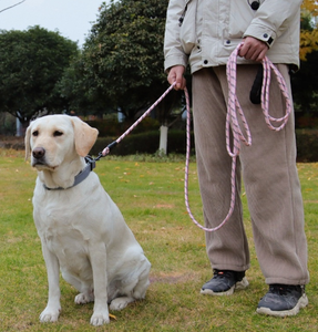 Guinzaglio tattico per cani in Nylon per uso pesante in fabbrica guinzagli impermeabili riflettenti per animali domestici per l'allenamento a piedi - Product Image 6