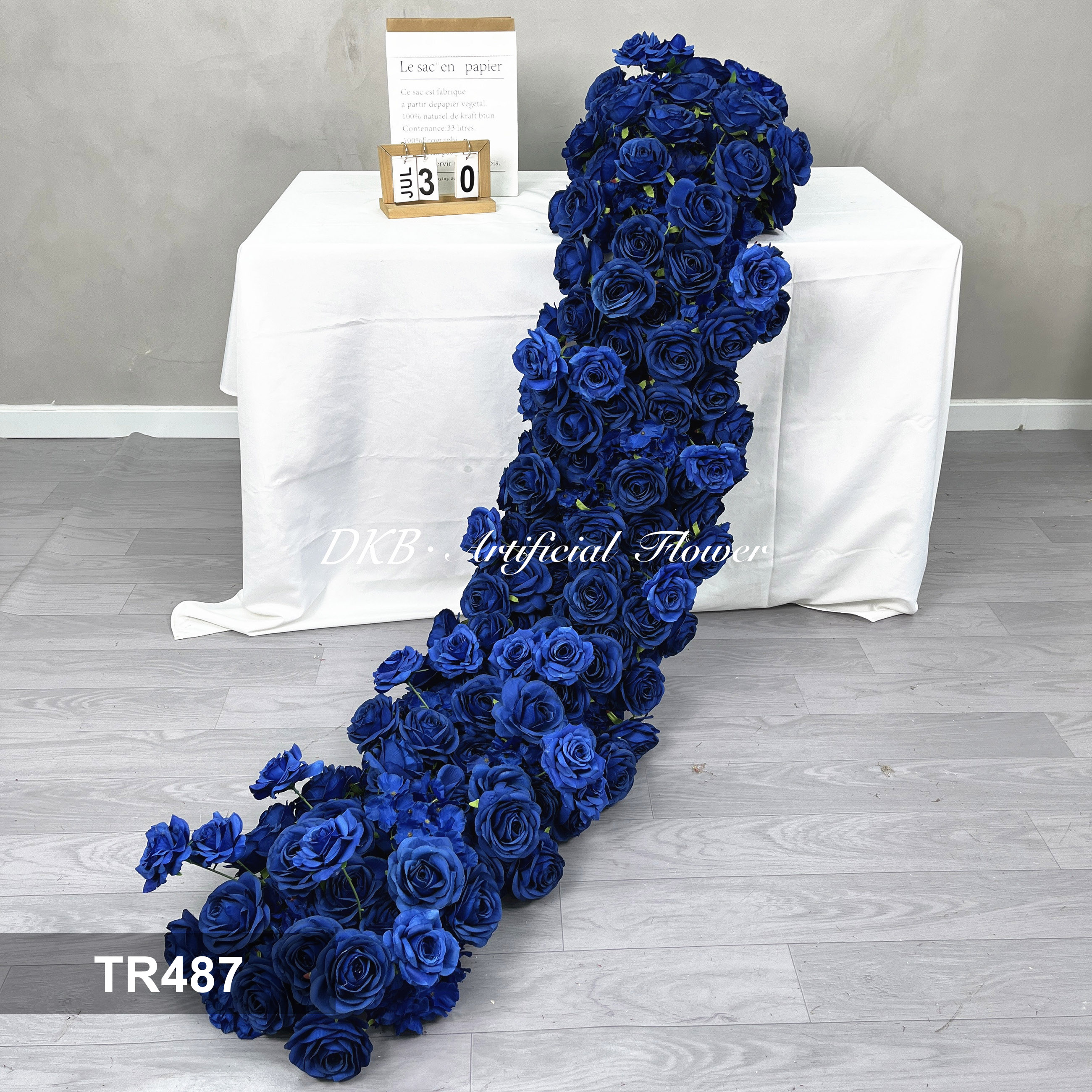TR487