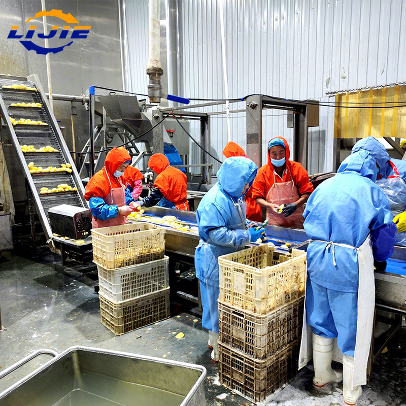 Semi Automatic Frozen French Fries Production