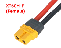 Câble de connexion personnalisé Amass 12AWG XT60-M XT60-F XT60H-M XT60H-F sur mesure
