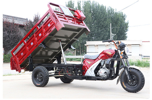 Triciclo de Carga Motorizado de Tres <span class=keywords><strong>Ruedas</strong></span> con Sidecar y Carrocería Abierta, de Gasolina, Fabricado en China - Product Image 4