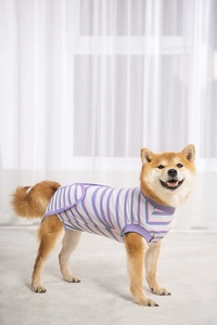 Großhandel Winter Protective Pet Bodysuit Chirurgische Erholungs weste für Katzen und Hunde mit Anti-Licking-<span class=keywords><strong>Shirt</strong></span> für Bauch wunden - Product Image 6